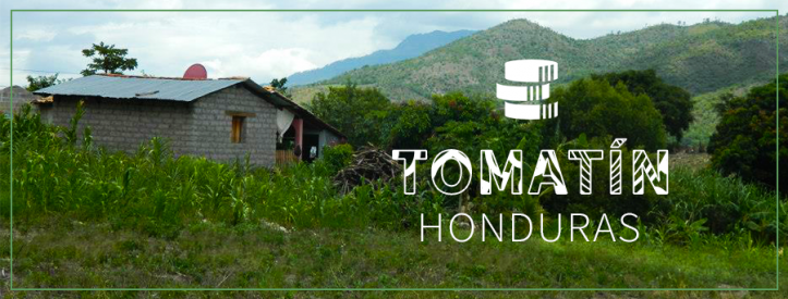 Honduras Microfinance Tomatin 2015.png