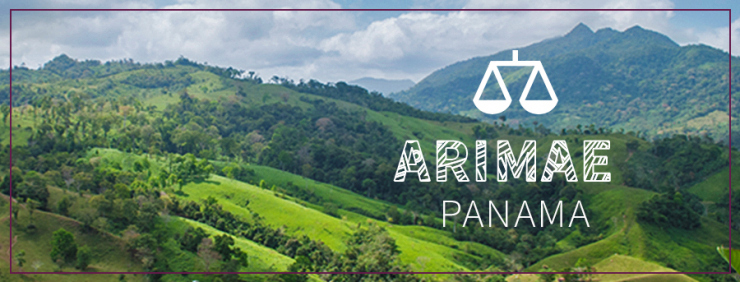 Arimae HR Banner.jpg